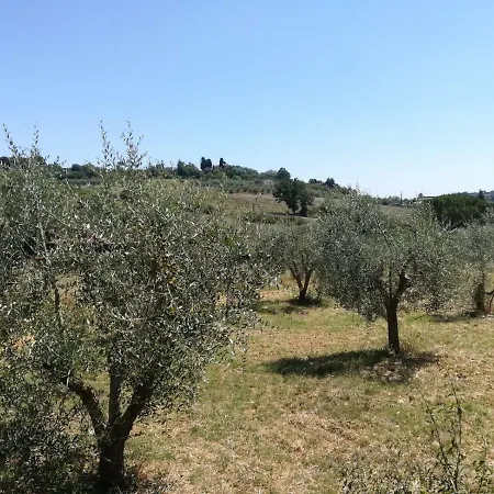 Apartment Dal Gioma Siena